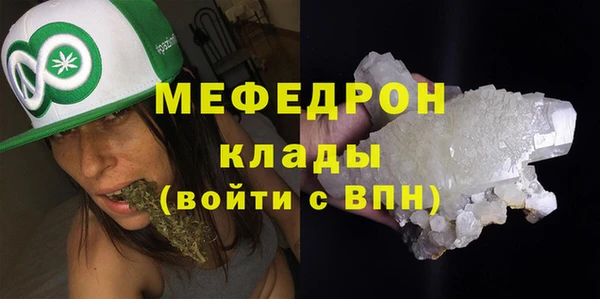 молекула духа Вяземский
