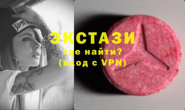 молекула духа Вяземский