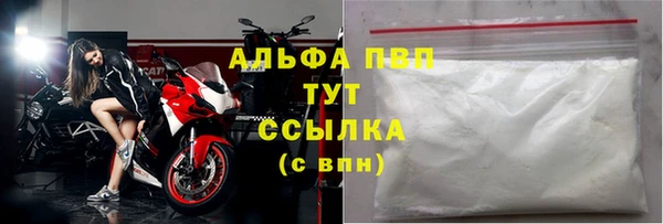 молекула духа Вяземский