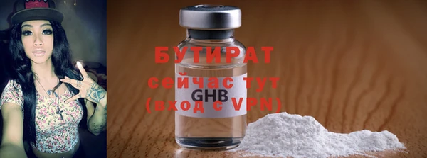 молекула духа Вяземский
