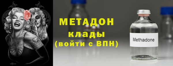 молекула духа Вяземский