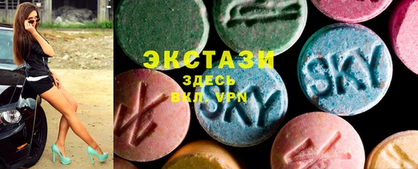 молекула духа Вяземский