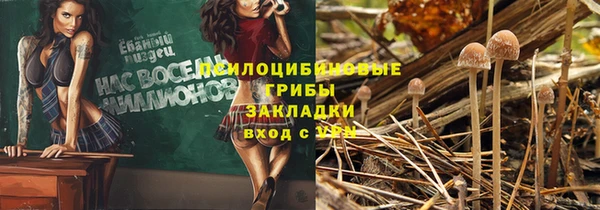 ECSTASY Вязники
