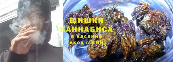 spice Ладушкин