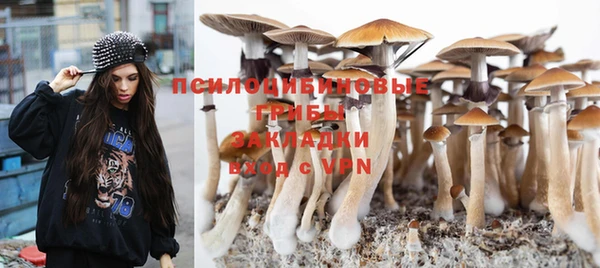 apvp Волосово