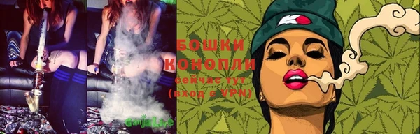 молекула духа Вяземский