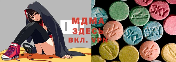 молекула духа Вяземский