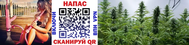 Шишки марихуана SATIVA & INDICA  Могоча 